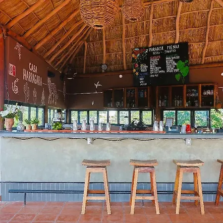 Viajero Sayulita Hostel-2
