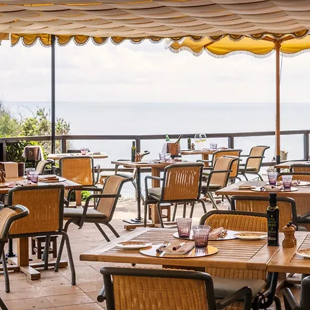 Il Pellicano-2