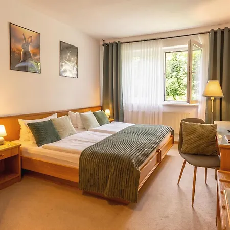 Waldhotel Ehrental-2