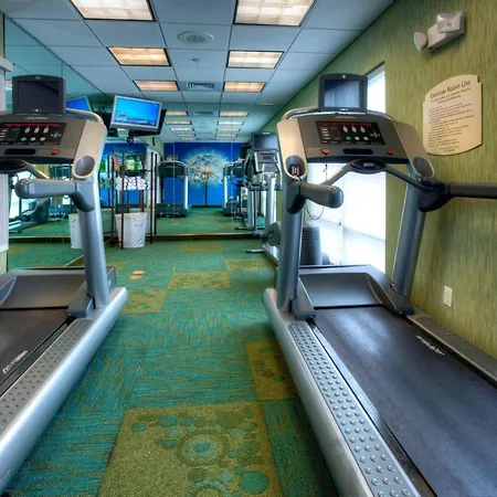 Springhill Suites By Marriott - Tampa Brandon-2