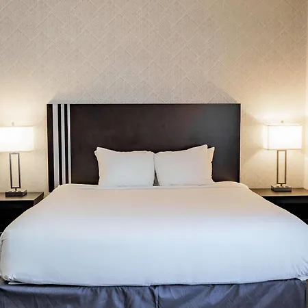 Park Inn By Radisson Edmonton Airport-3