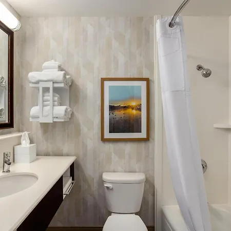 Hampton Inn Springfield-South-2