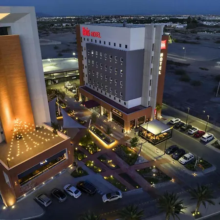 Ibis Torreon-2