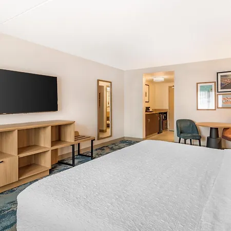 Hampton Inn Schenectady Downtown-2