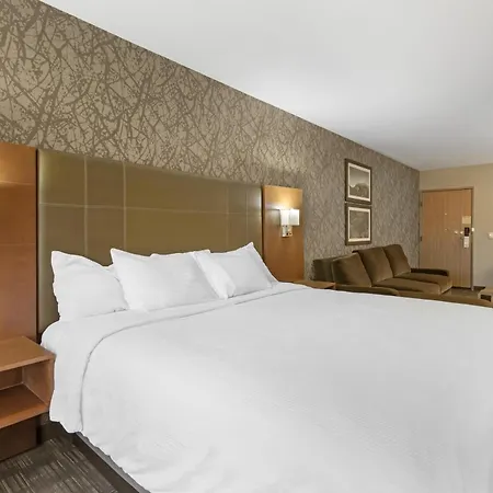 Best Western Plus Cottontree Inn-3