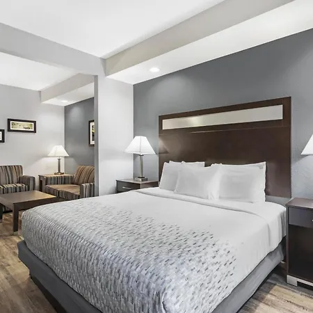 Best Western Plus Lake Jackson Inn & Suites-3