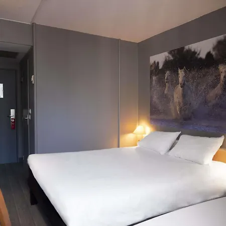 Ibis Arles-3