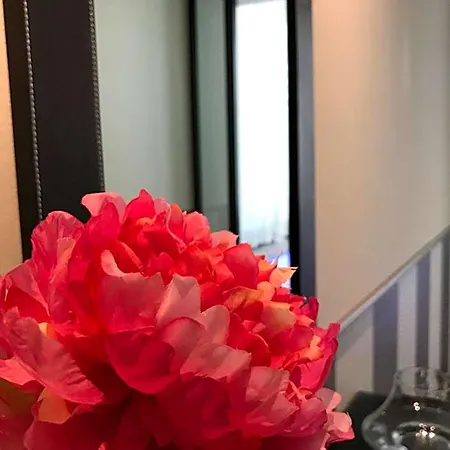 Novahotel-2