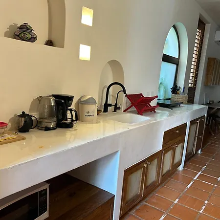 Casa Liquen-2