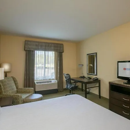 Hilton Garden Inn Lakeland-3