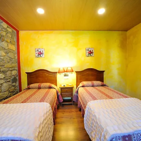 Hotel y Hostal Vall d Aneu-3