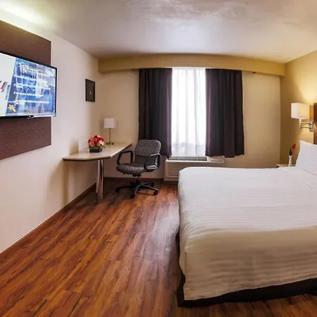 Holiday Inn Orizaba By Ihg-3