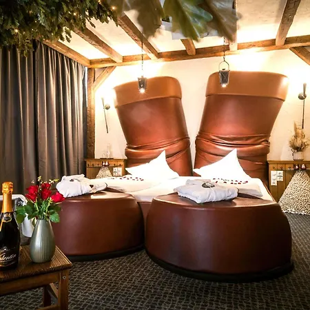 Mercure Hotel Riesa Dresden Elbland-2