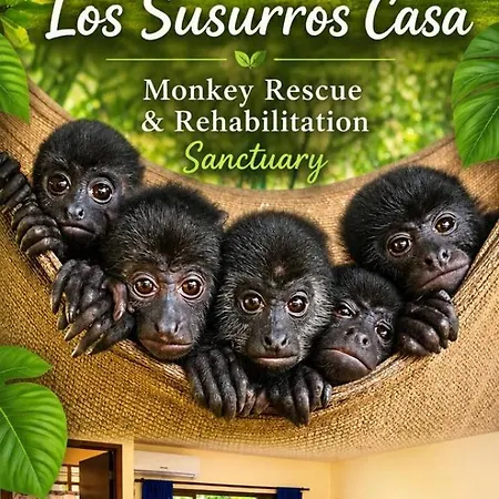 Los Susurros. Casa-2