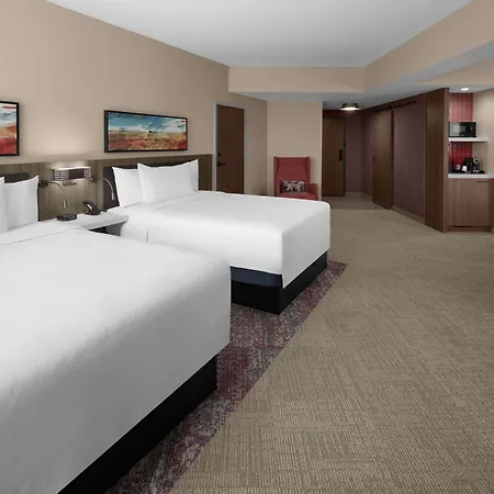 Hilton Garden Inn Grand Prairie At Epiccentral-3