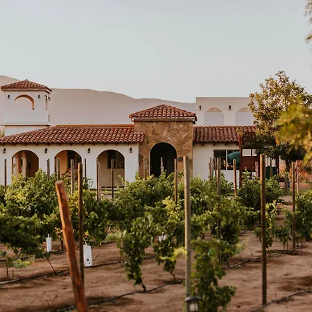 Hacienda Los Olivos, Valle De Guadalupe-2