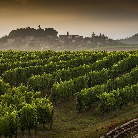 Tenuta Montemagno-2