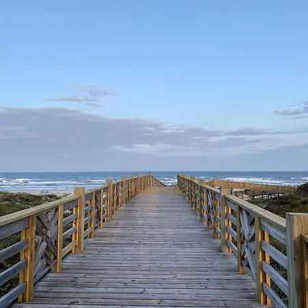 Lively Beach-2