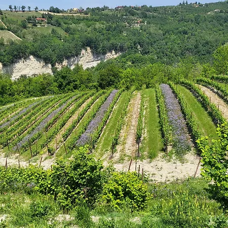 Casa Di Langa-2
