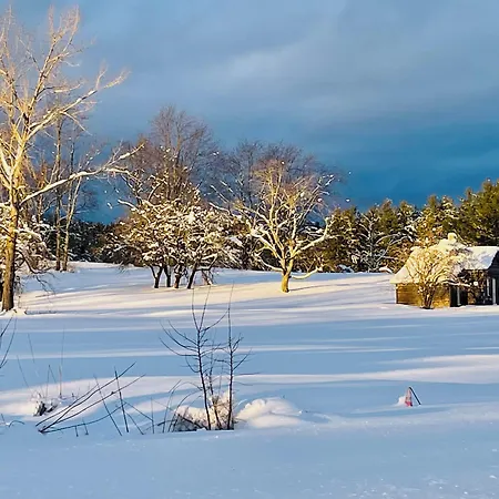 Gedney Farm-3