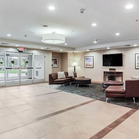 Candlewood Suites - Brighton By Ihg-3