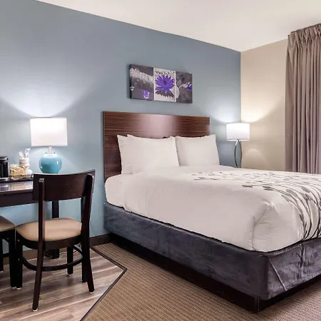 Sleep Inn & Suites South Jacksonville-3