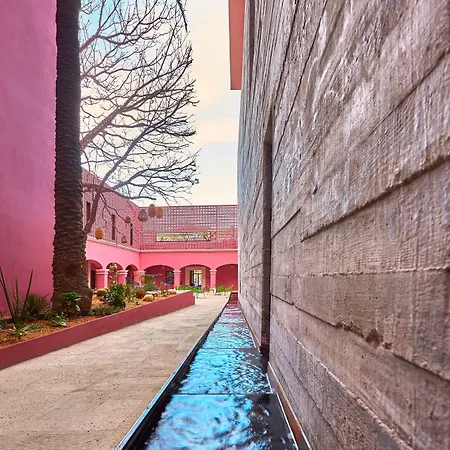 City Centro By Marriott Oaxaca-2