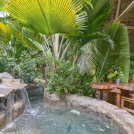 Chalet Tropical Hotel & Pool Bar Restaurant-2