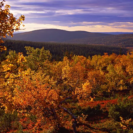 Lapland Hotels Saaga-3