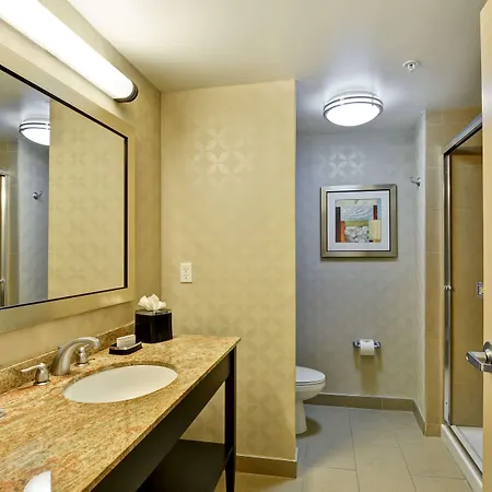 Hampton Inn & Suites Tampa Northwest/Oldsmar-3