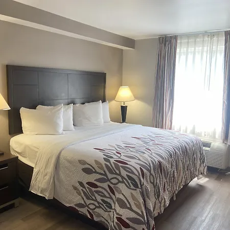 Red Roof Inn Pittsburgh - Mcknight Rd-3