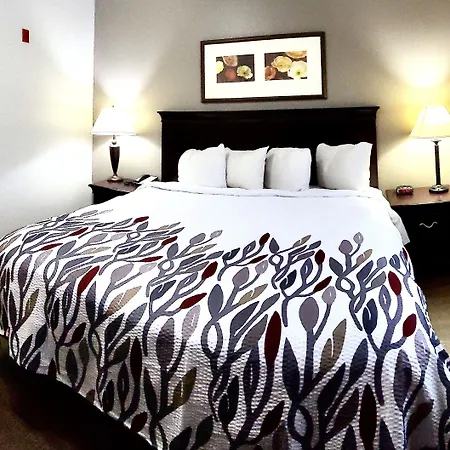 Red Roof Inn & Suites Midland-2