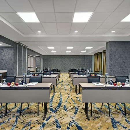 Hilton Garden Inn Houston/Galleria Area-3