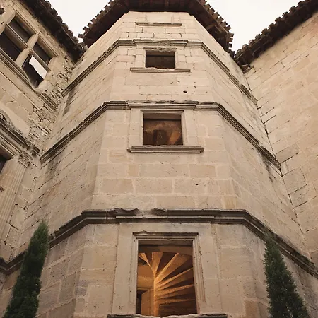 Château Des Ducs De Joyeuse-2