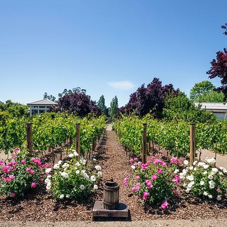 Carneros Resort And Spa-2