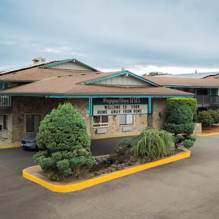 Pepper Tree Inn-3