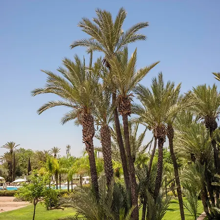 Barcelo Palmeraie Oasis Resort (Adults Only)-3