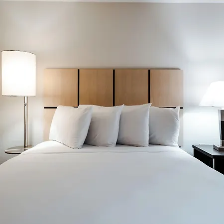 Sonesta Simply Suites Fort Worth-2