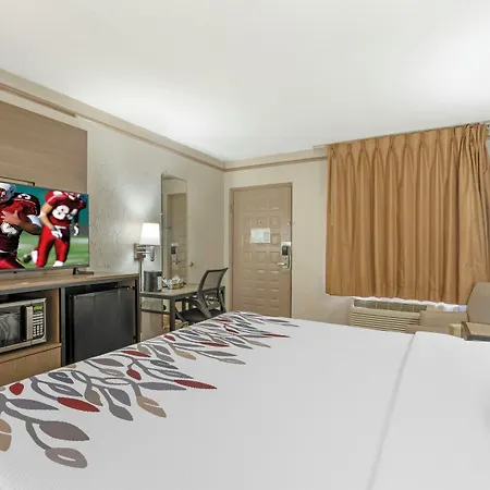 Red Roof Inn Tampa Bay - St. Petersburg-3