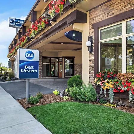 Best Western Driftwood Inn-3