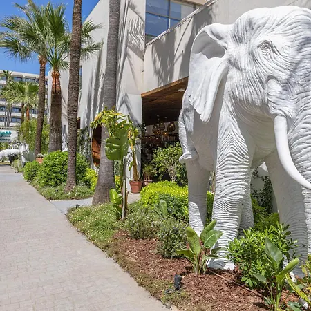 Innside By Melia Alcudia-2
