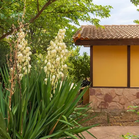 Masia Del Cura-2