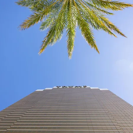 Trump International Hotel Las Vegas-3