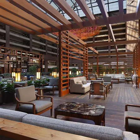 Hilton Anatole-3