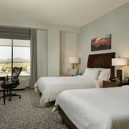 Hilton Garden Inn Phoenix Airport North-3