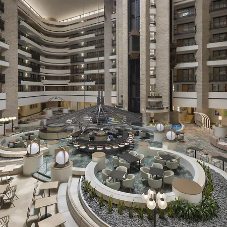 Embassy Suites By Hilton Orlando International Drive Icon Park-3