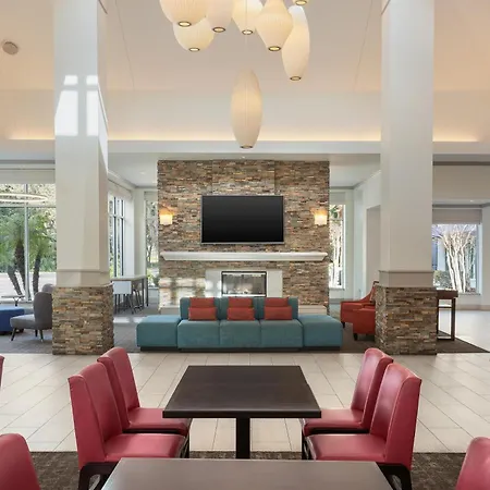 Hilton Garden Inn Tampa North-3