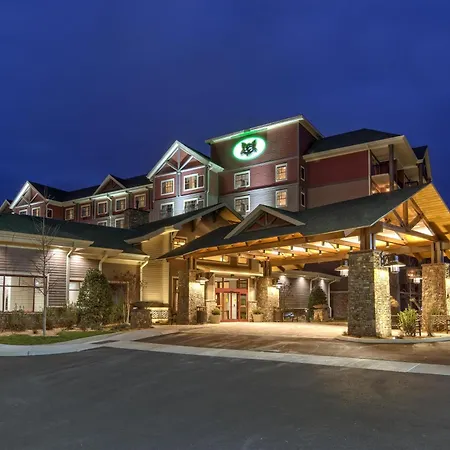 Black Fox Lodge Pigeon Forge, Tapestry Collection By Hilton-2