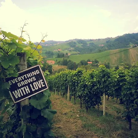 Weingut Reiterer-3