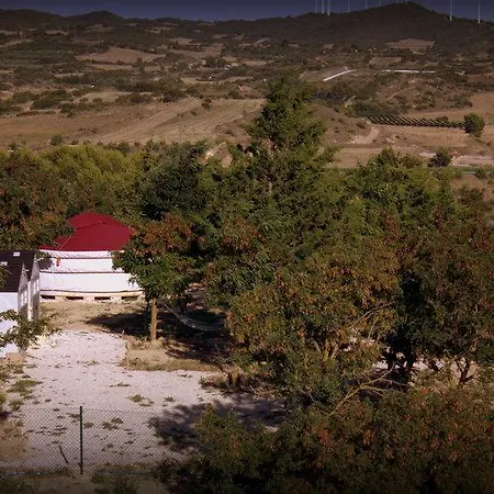 Campo de Reyes-2
